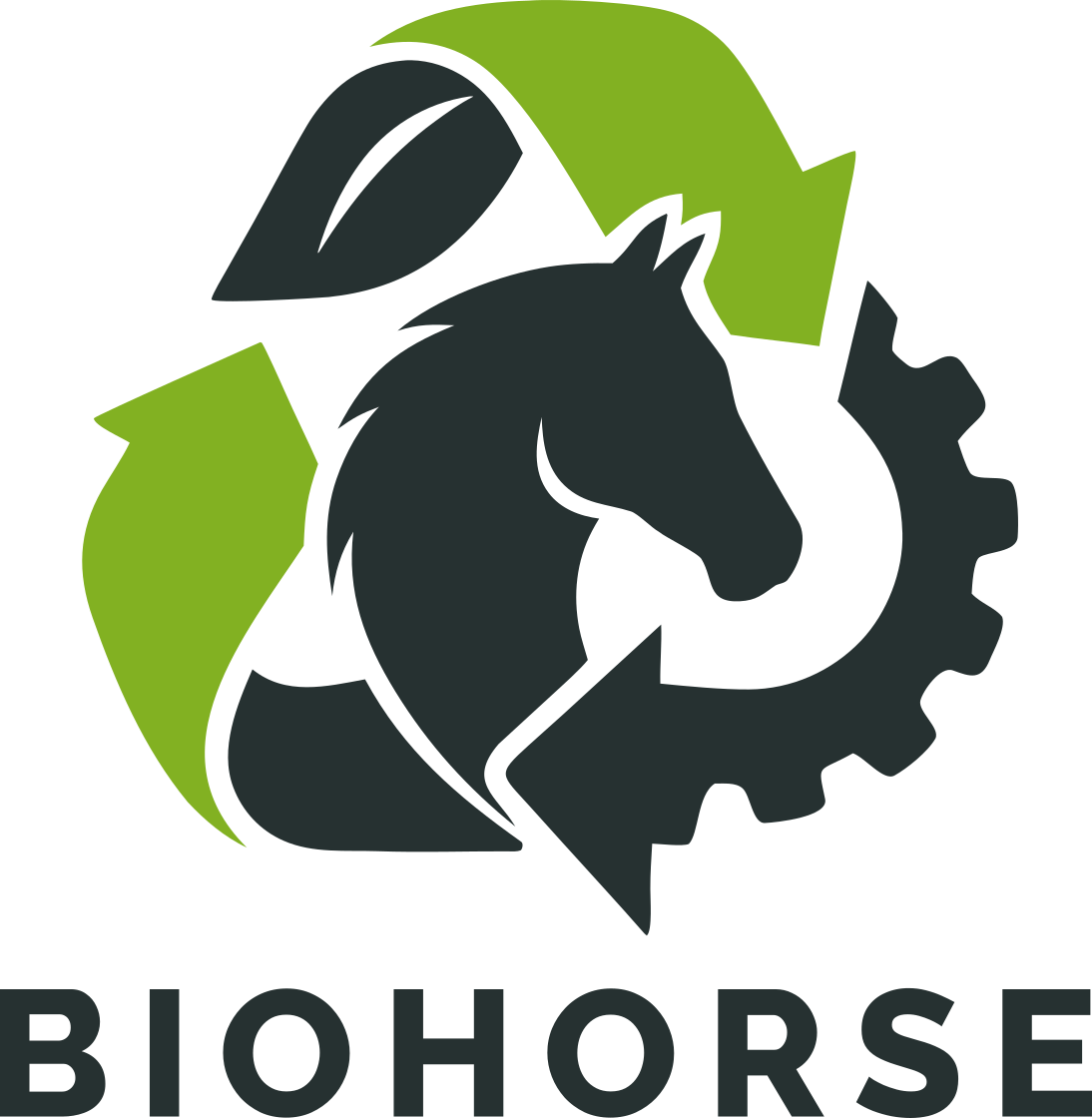 BioHorse Logo